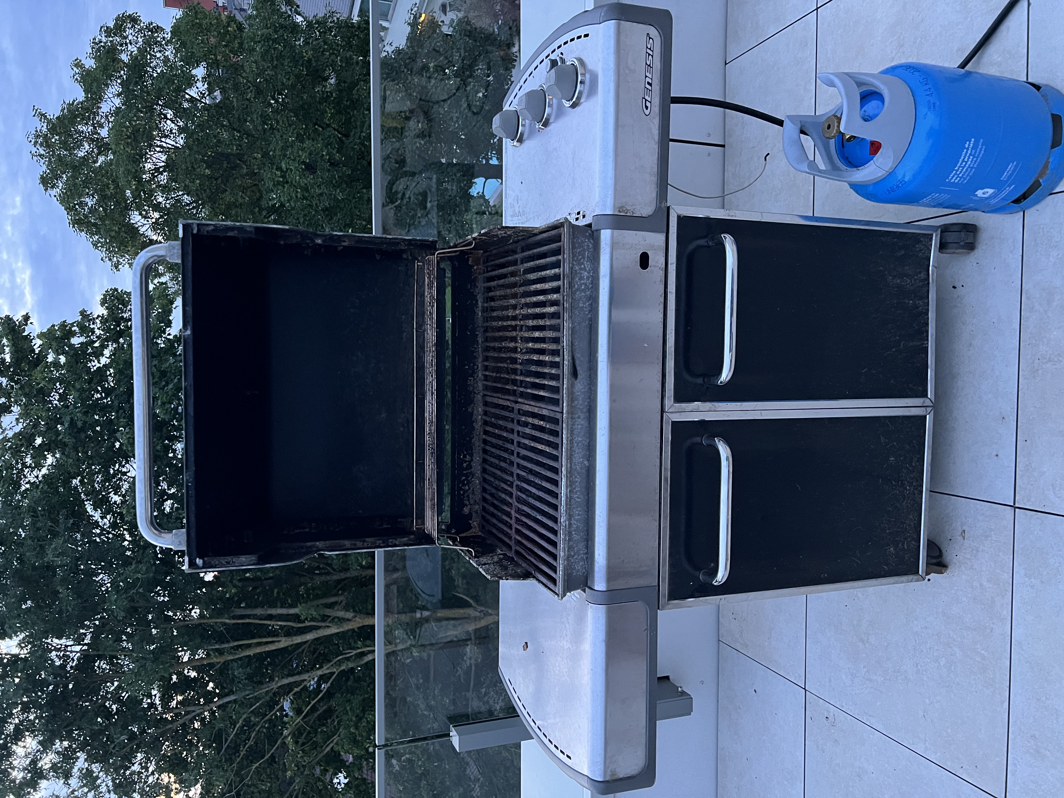 Weber Genesis E-310 à la réception, état initial